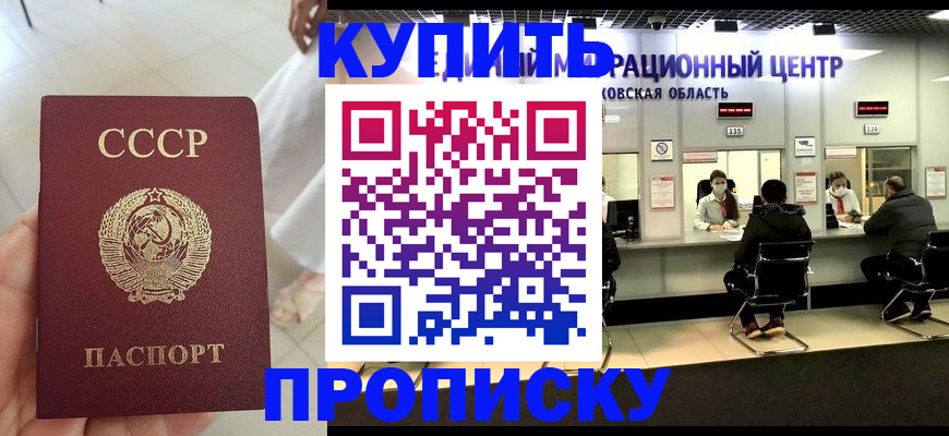 временная регистрация адрес в Светлогорске