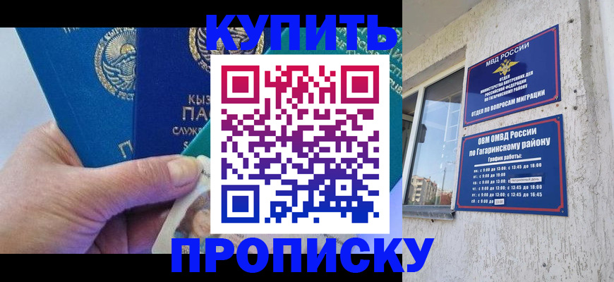 временная регистрация для всех в Светлогорске